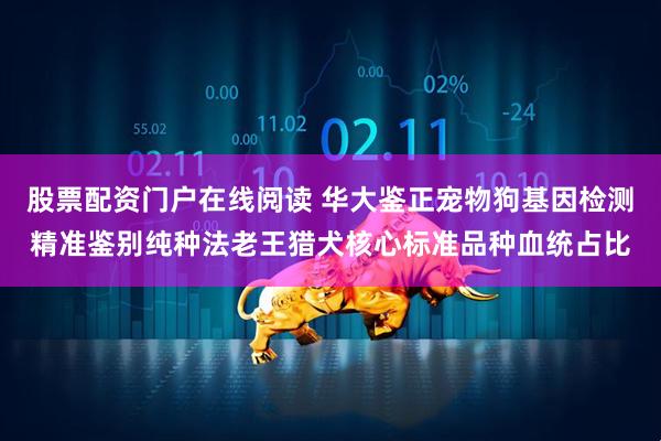 股票配资门户在线阅读 华大鉴正宠物狗基因检测精准鉴别纯种法老王猎犬核心标准品种血统占比